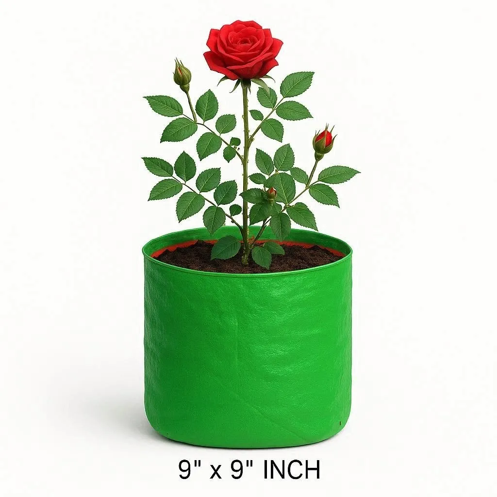 9x9 inch green grow bag for roses – Greesn brand