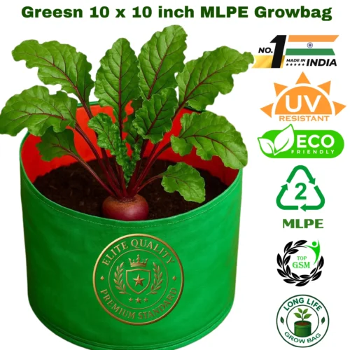 10X10GROWBAGS