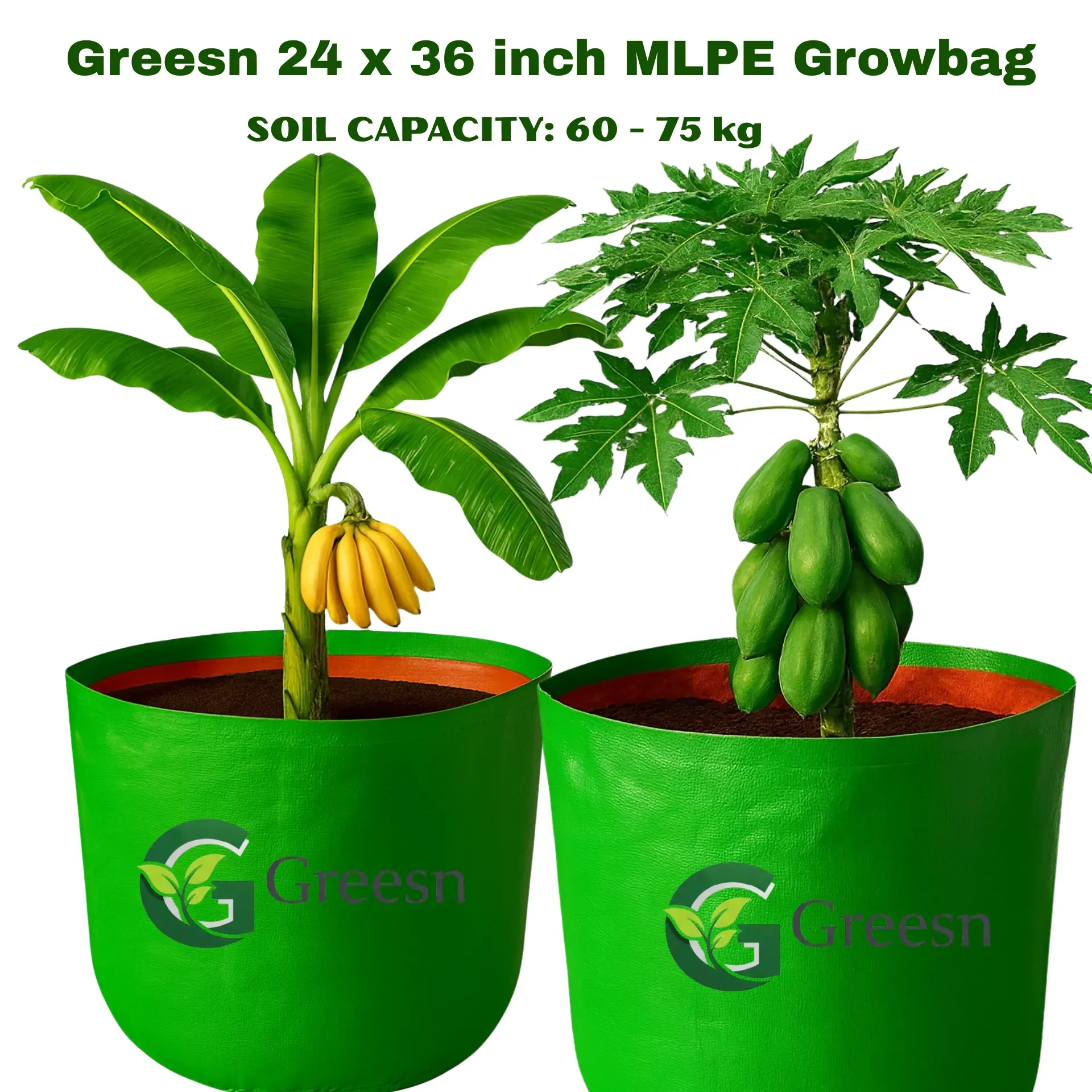 24 x 36 Very Large Grow Bag for Fruit Tree,280MLPE