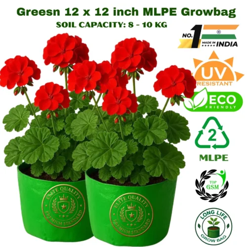 12X12 GROWBAGS