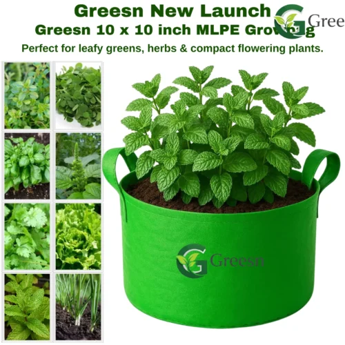 Top Tips for Growing Greesn in the Handle10x10 Growbag