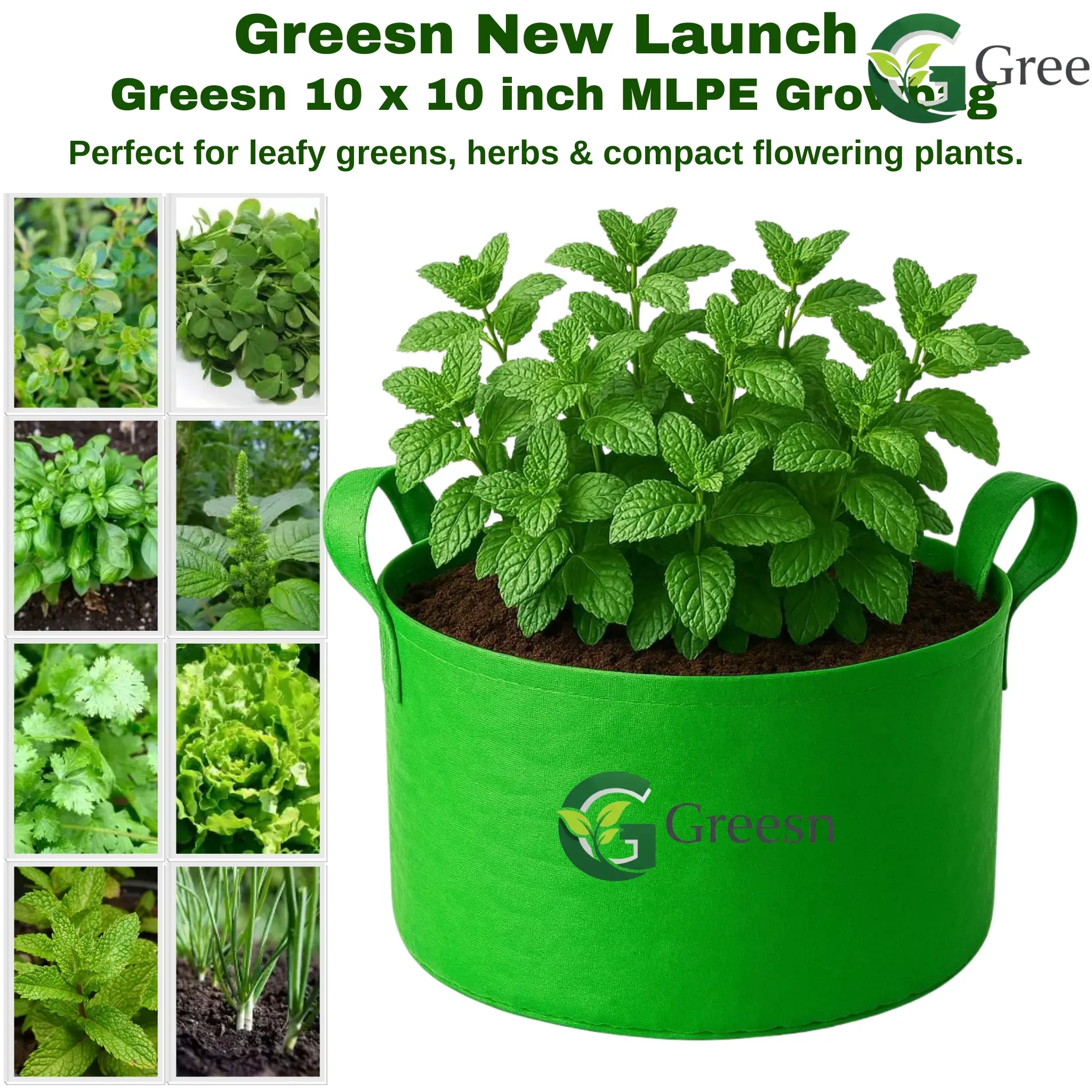 Top Tips for Growing Greesn in the Handle10x10 Growbag
