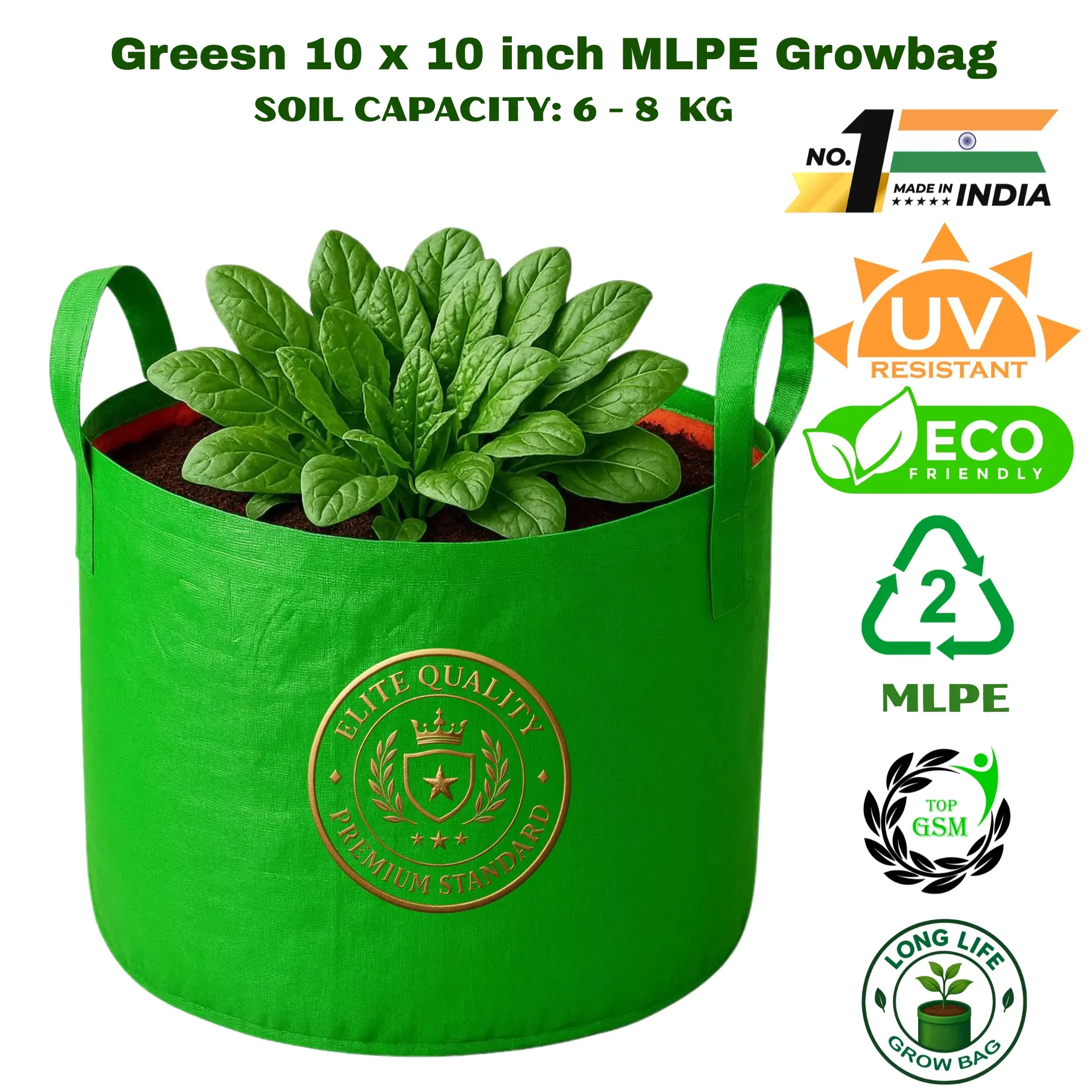 Top Tips for Growing Greesn Using Handle 10x10 Inch Grow Bag