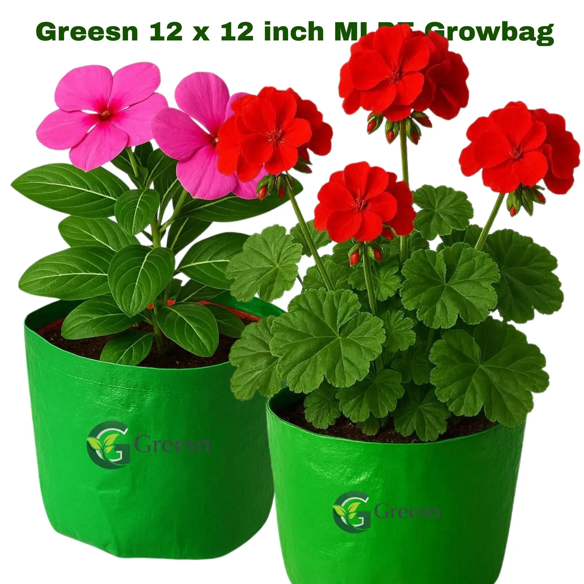 12X12 GROWBAGS