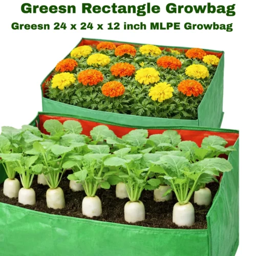 Premium 24x24x12 inch rectangle MLPE grow bag for terrace and home gardening.