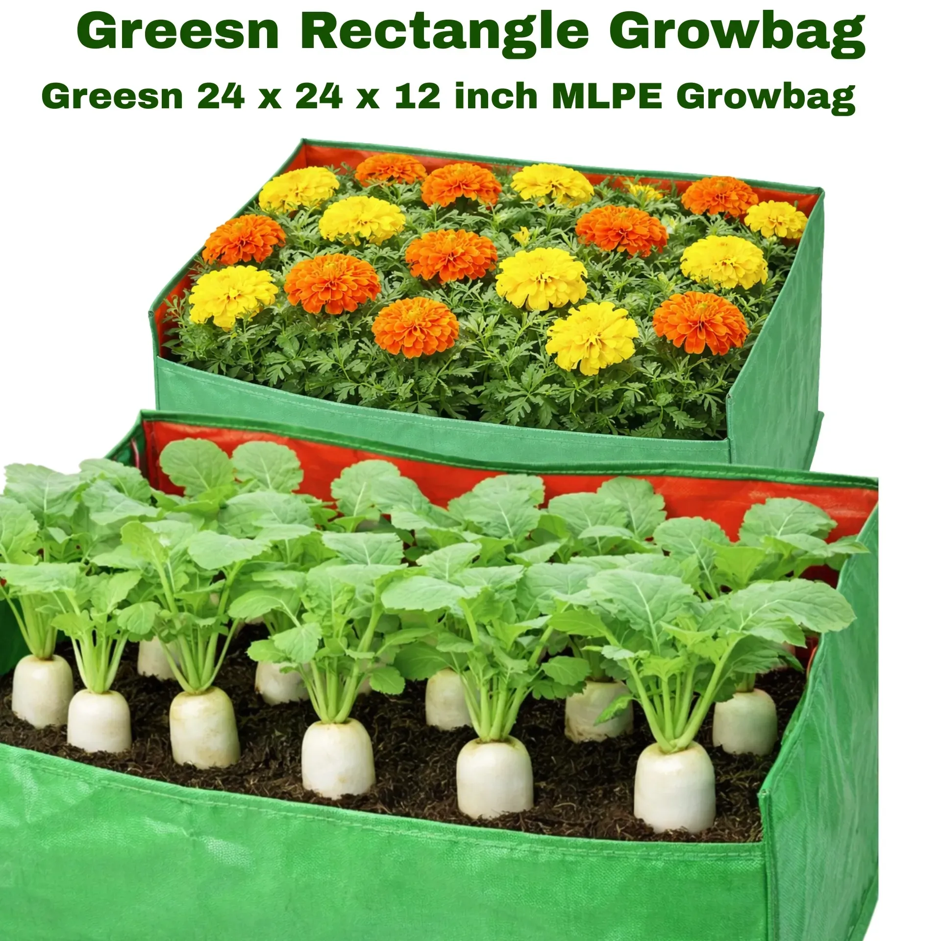 Premium 24x24x12 inch rectangle MLPE grow bag for terrace and home gardening.