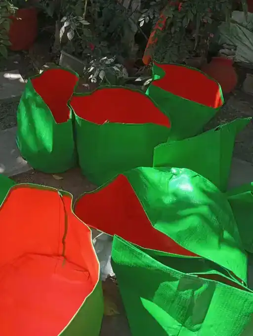 greesn grow bags Customer Reviews