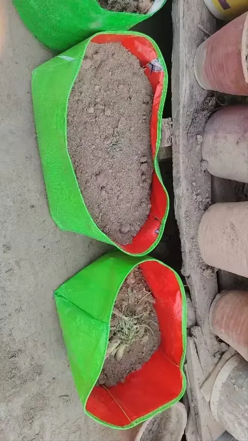 greesn grow bags Customer Reviews