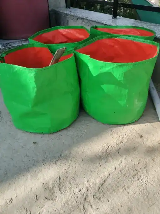 greesn grow bags Customer Reviews