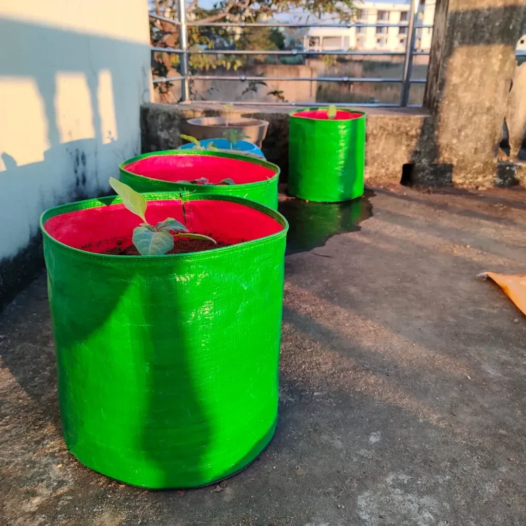 greesn grow bags Customer Reviews